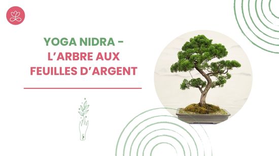 Yoga Nidra - L’arbre aux feuilles d’argent